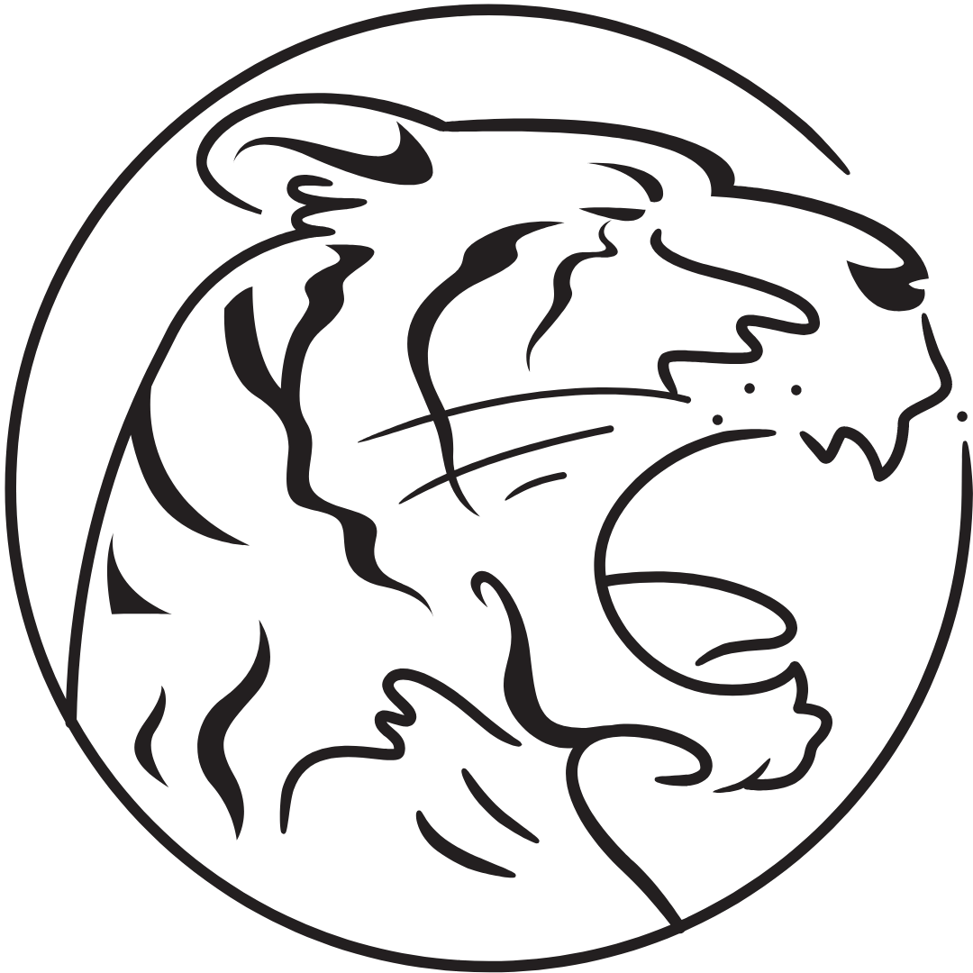 year of the tiger